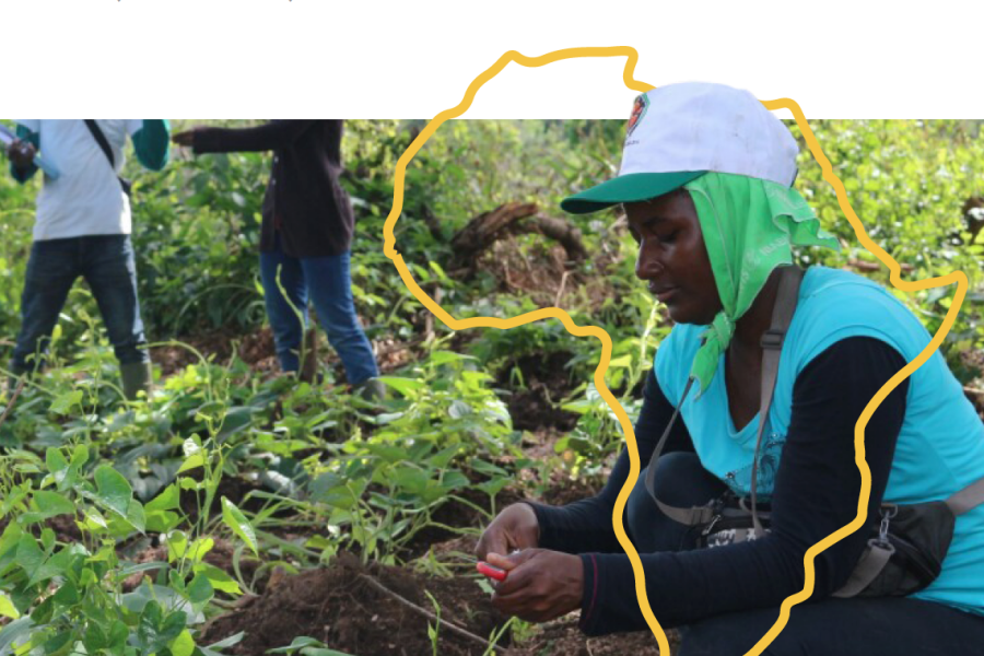 Evaluating the Impact of the Cambridge-Africa ALBORADA Research Fund